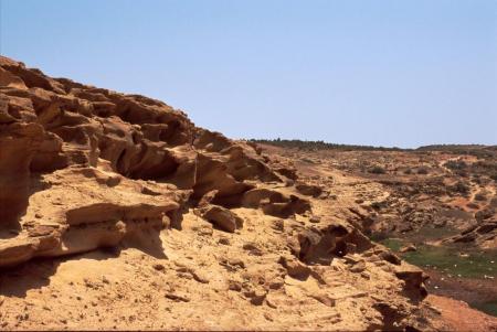 iqouba